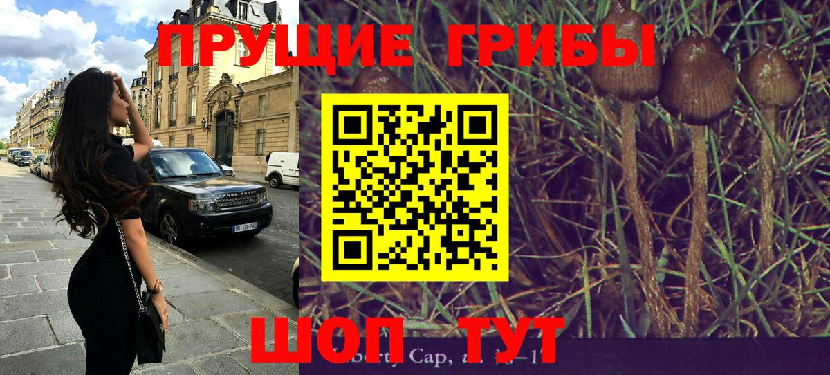 Галлюциногенные грибы Cubensis Ливны