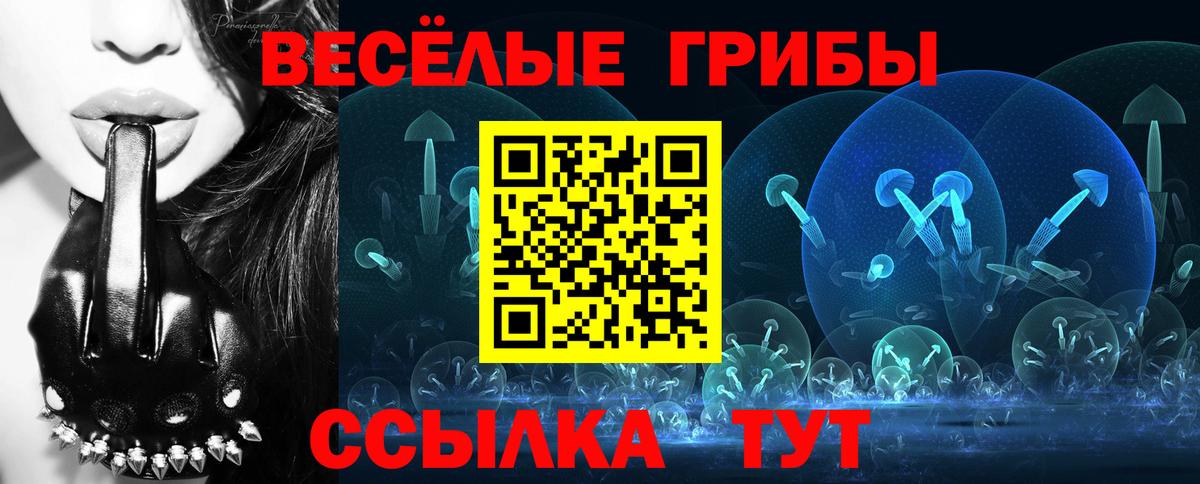 купить наркотики сайты  Псилоцибиновые грибы Cubensis  Вход с VPN  Ливны 